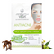 Ayouthveda Anti Acne Face Serum Sheet Mask